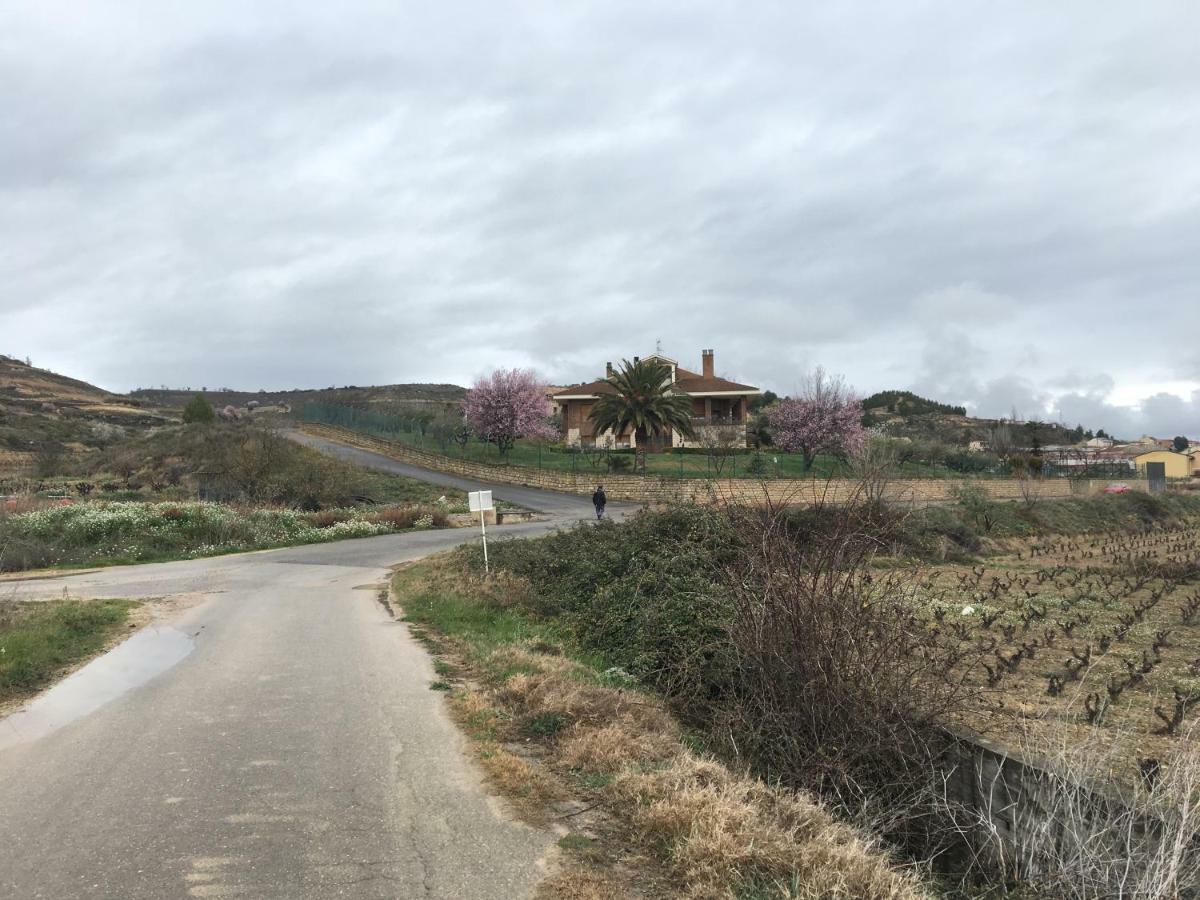 Villa Casa Pichon Etxea Lapuebla de Labarca Exterior foto
